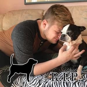 Meet your Posher, Jared